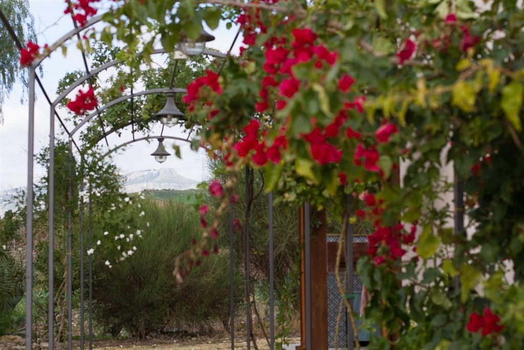 Agriturismo Baglio Donna Santa Dattilo Exterior photo